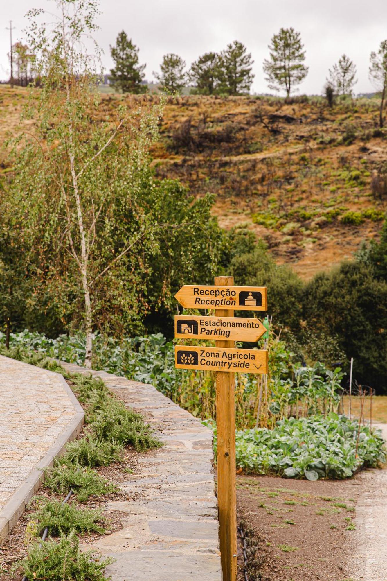 Апартаменты Terrasense Mountain Charm Retreat & Farm Videmonte Экстерьер фото