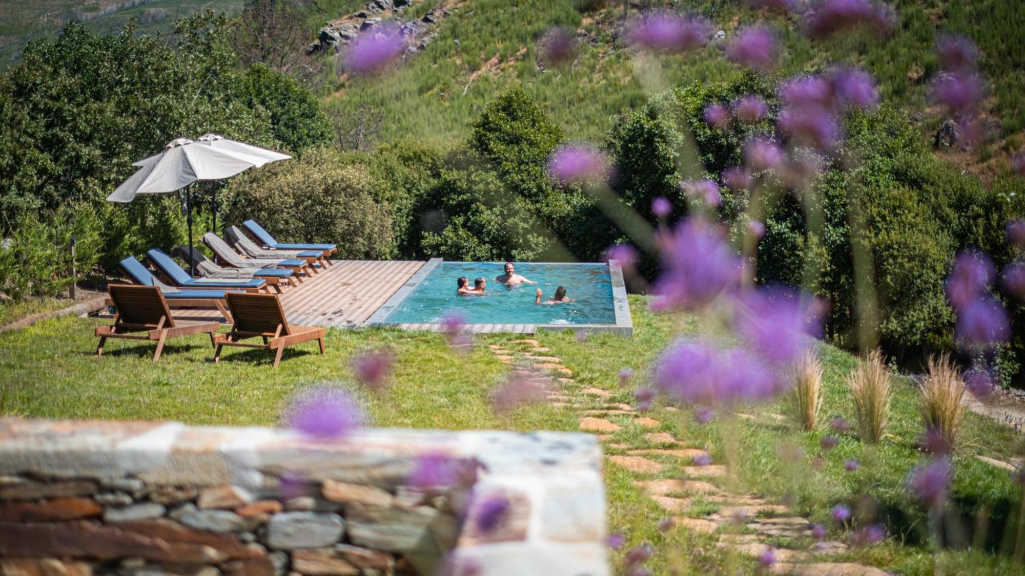 Апартаменты Terrasense Mountain Charm Retreat & Farm Videmonte Экстерьер фото